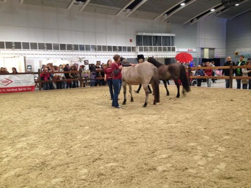 Messe Hund & Pferd 2015